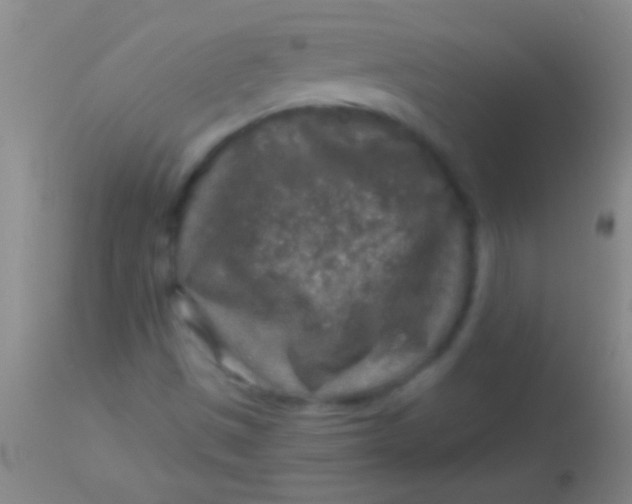 X0000113961497200910161951