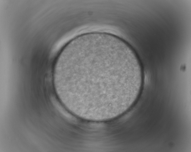 X0000113961498200910161951