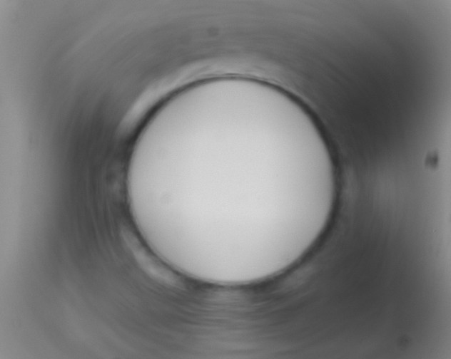 X0000113961499200910161951