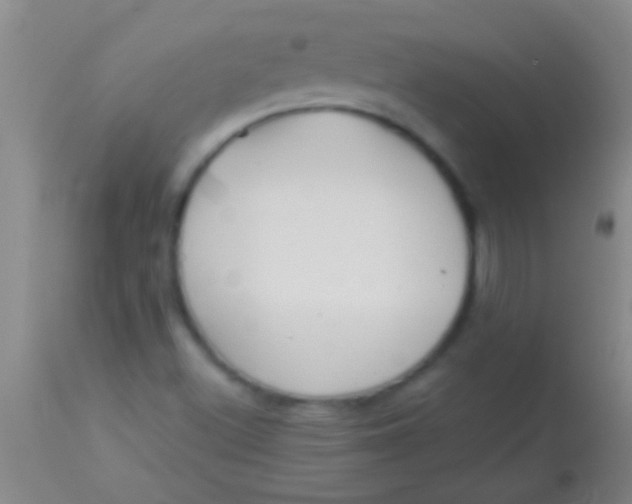 X0000113961500200910161951