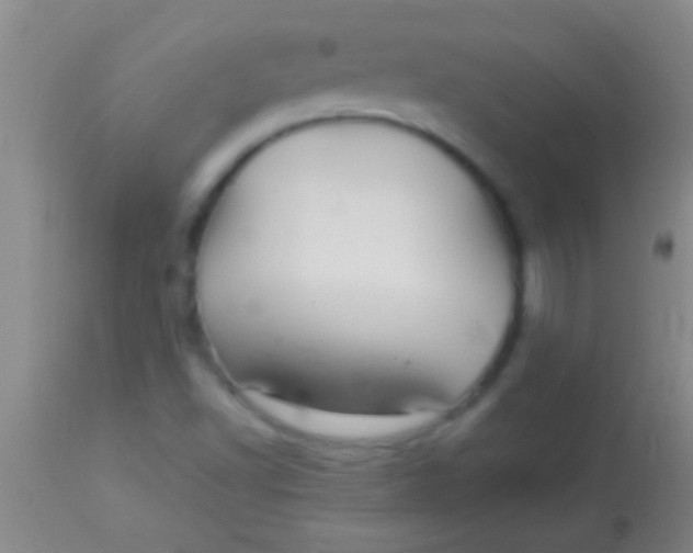 X0000113961502200910161951