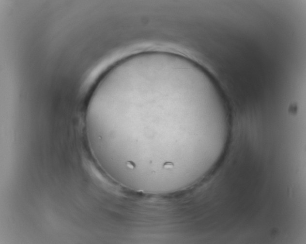 X0000113961503200910161951