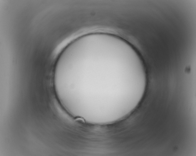 X0000113961504200910161951