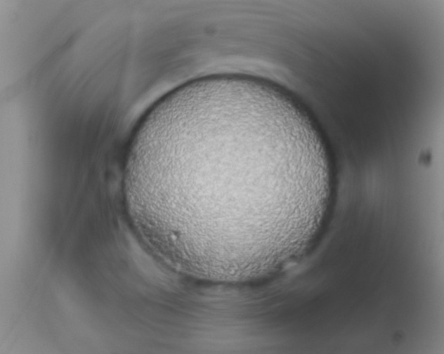 X0000113961505200910161951