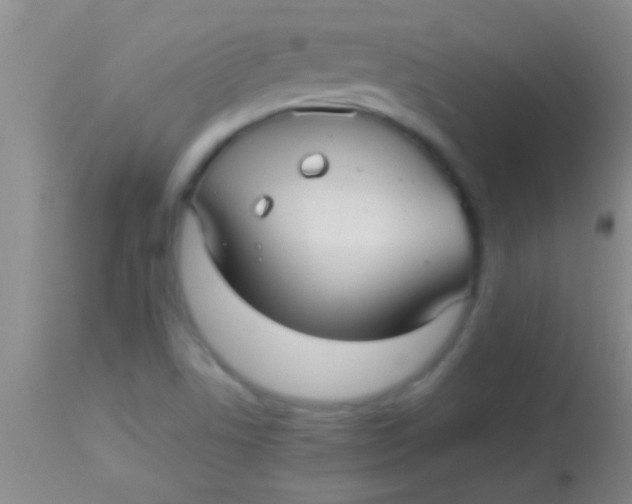 X0000113961506200910161951