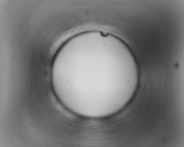 X0000113961507200910161951