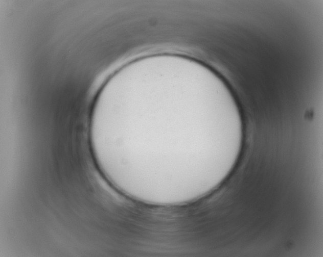 X0000113961508200910161951