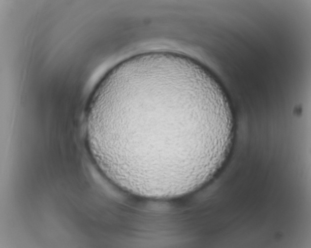 X0000113961509200910161951