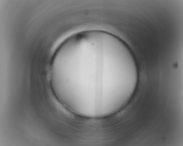 X0000113961510200910161951