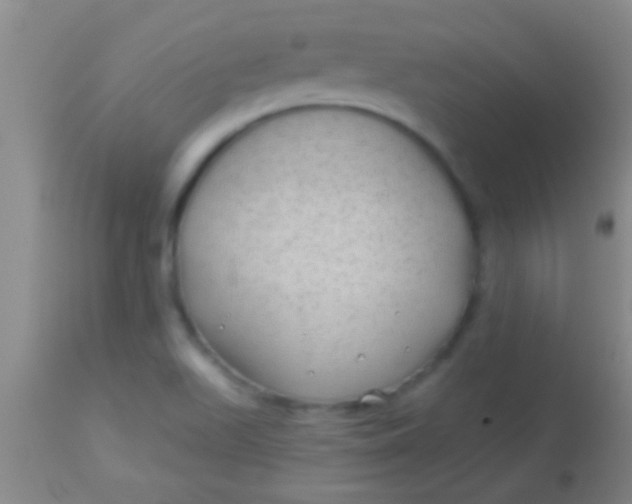 X0000113961511200910161951