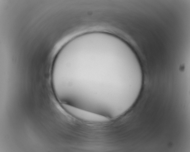 X0000113961512200910161951