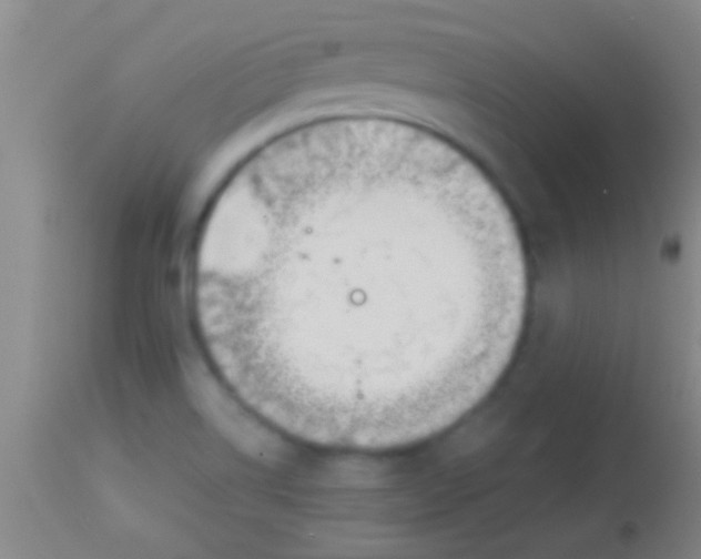 X0000113961514200910161951