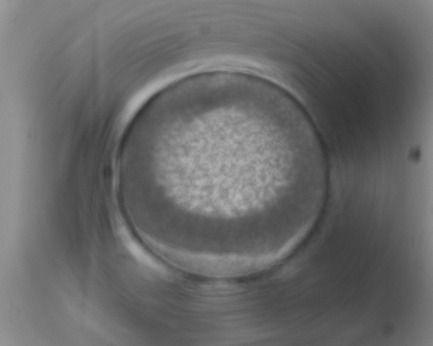 X0000113961515200910161951