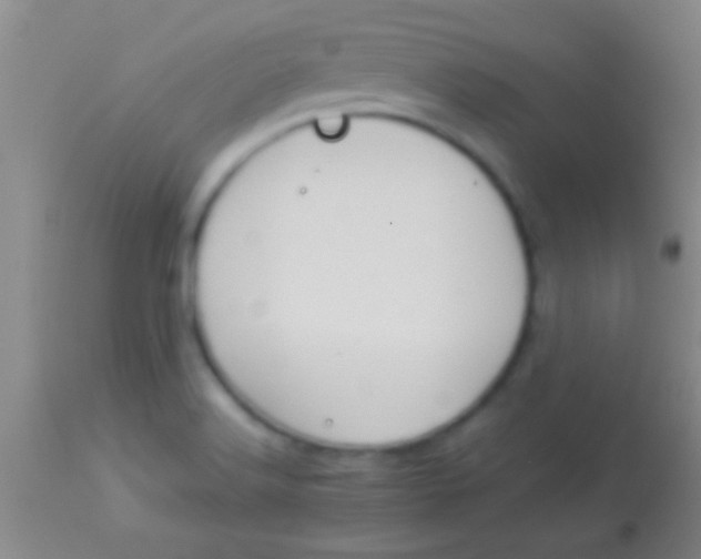 X0000113961516200910161951