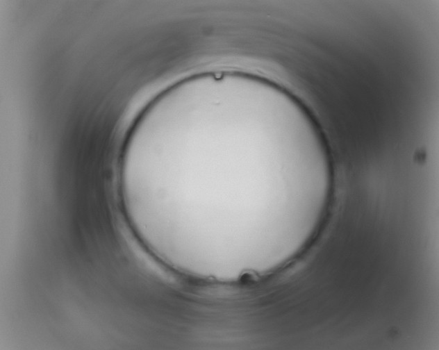 X0000113961517200910161951