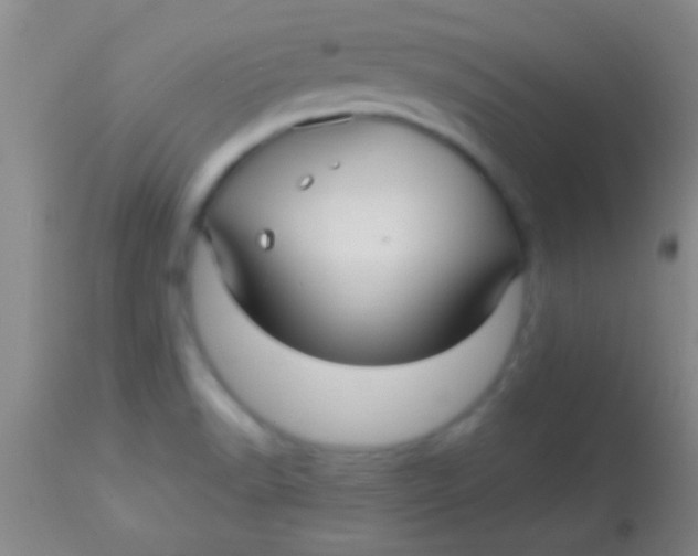 X0000113961518200910161951