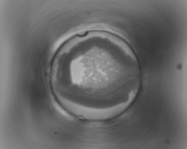 X0000113961519200910161951