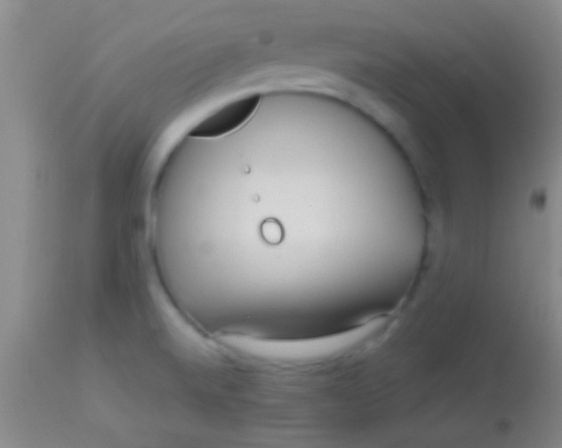 X0000113961520200910161951