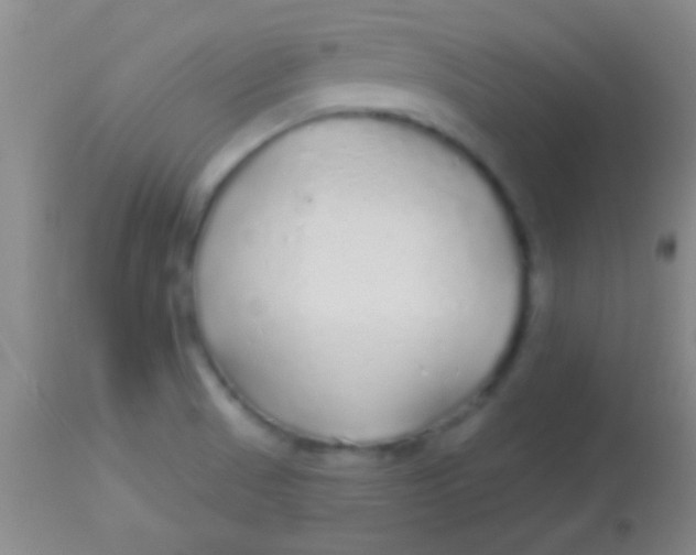 X0000113961521200910161951