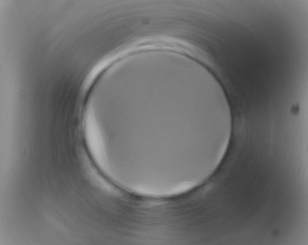 X0000113961522200910161951