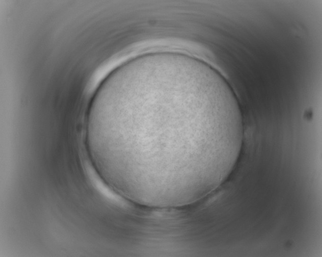 X0000113961523200910161951