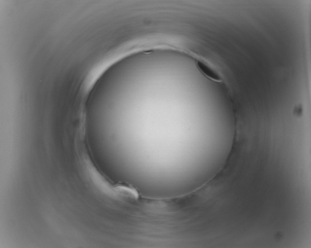 X0000113961524200910161951