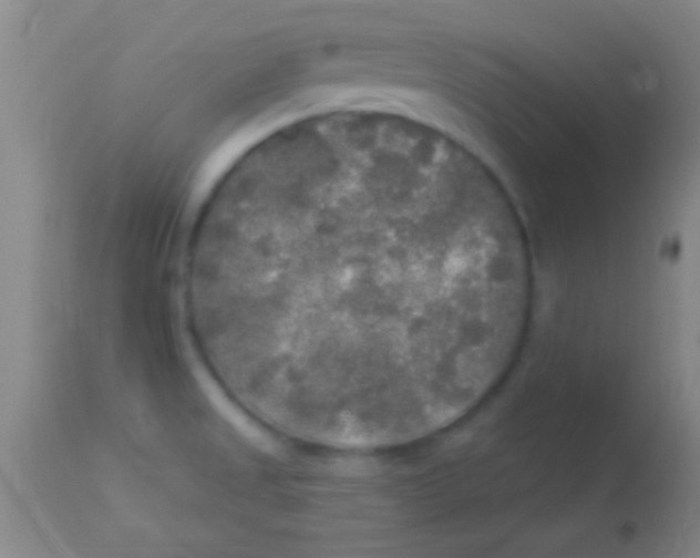 X0000113961525200910161951