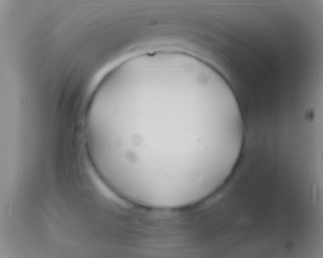 X0000113961526200910161951