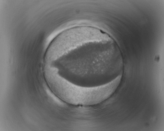 X0000113961527200910161951