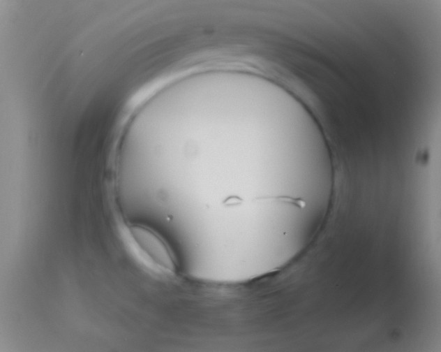 X0000113961528200910161951