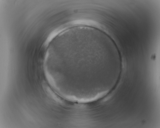 X0000113961529200910161951