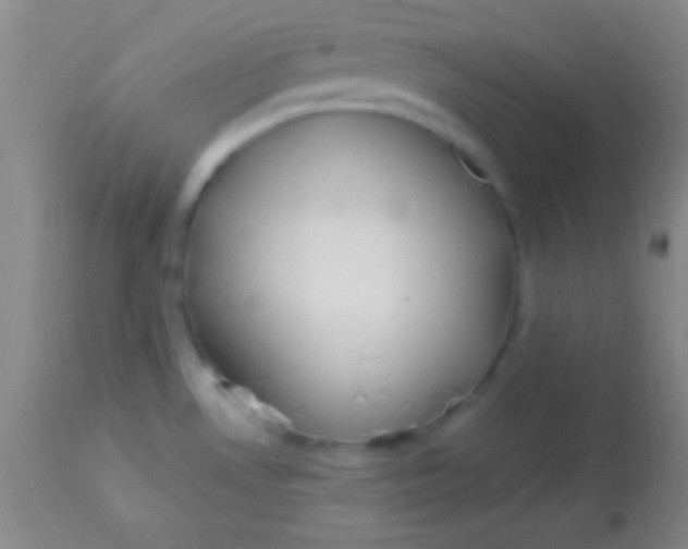 X0000113961530200910161951