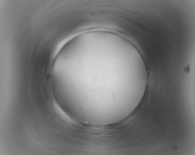 X0000113961532200910161951