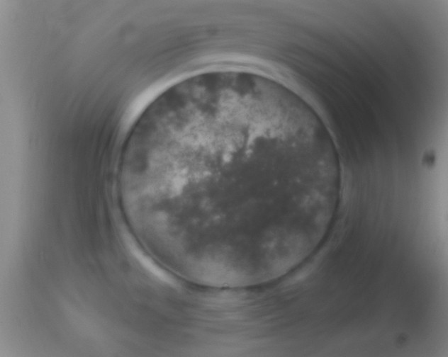 X0000113961533200910161951