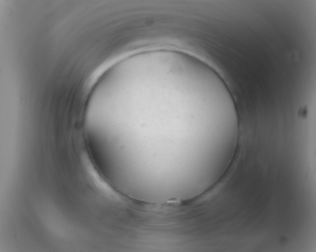 X0000113961534200910161951