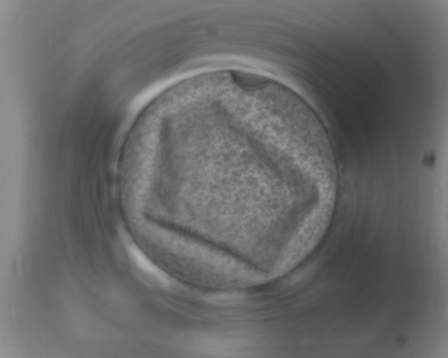 X0000113961535200910161951