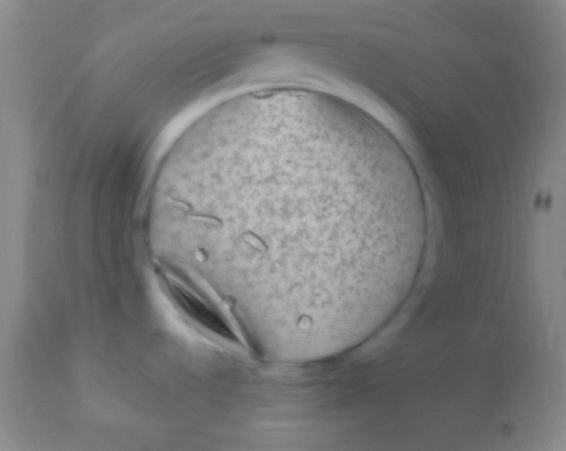 X0000113961536200910161951