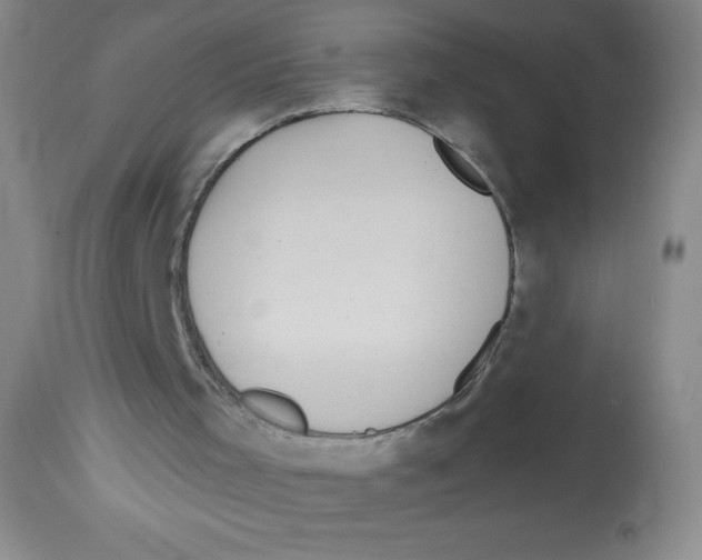 X0000113960001200910232039