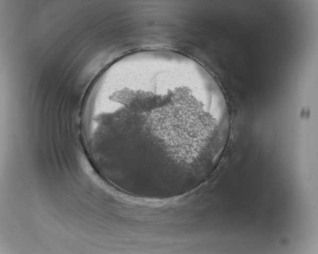 X0000113960002200910232039