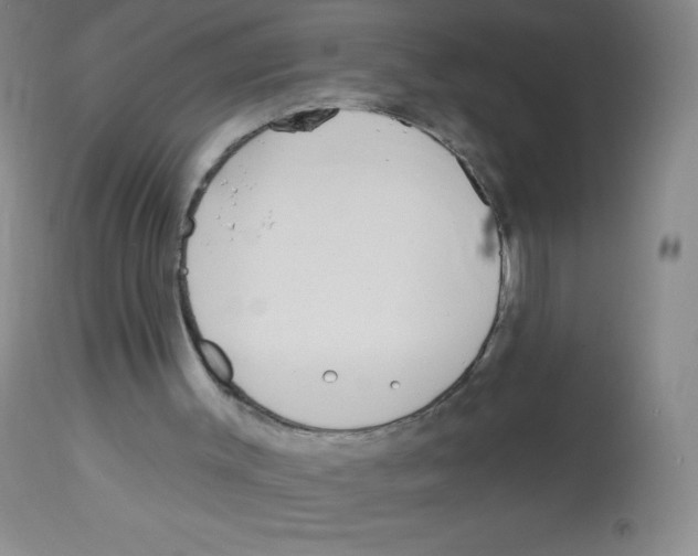 X0000113960003200910232039