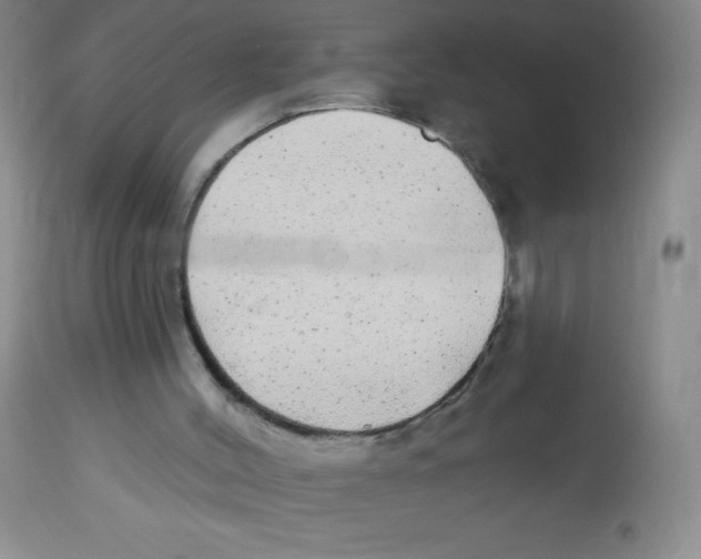 X0000113960004200910232039