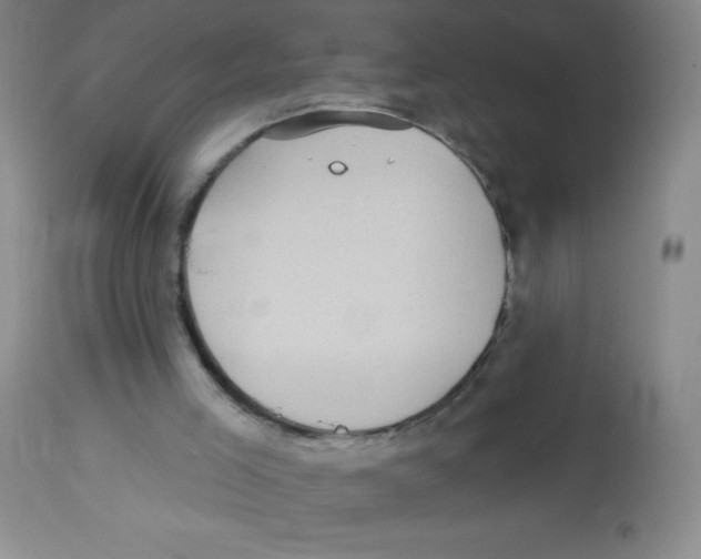 X0000113960005200910232039