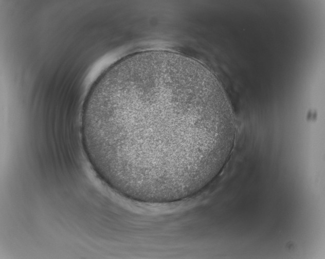 X0000113960006200910232039