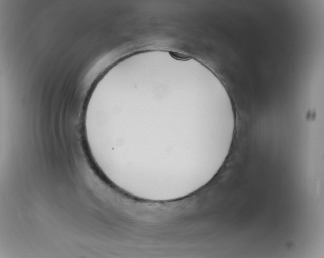X0000113960007200910232039