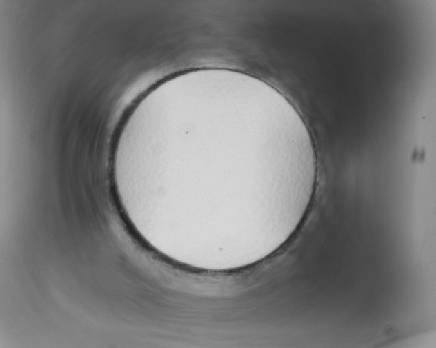 X0000113960008200910232039