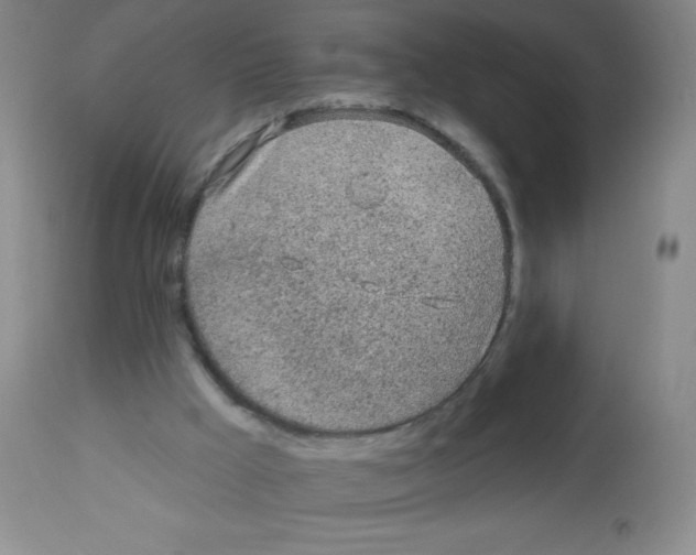 X0000113960009200910232039