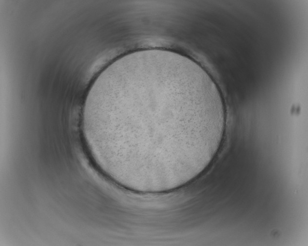 X0000113960010200910232039