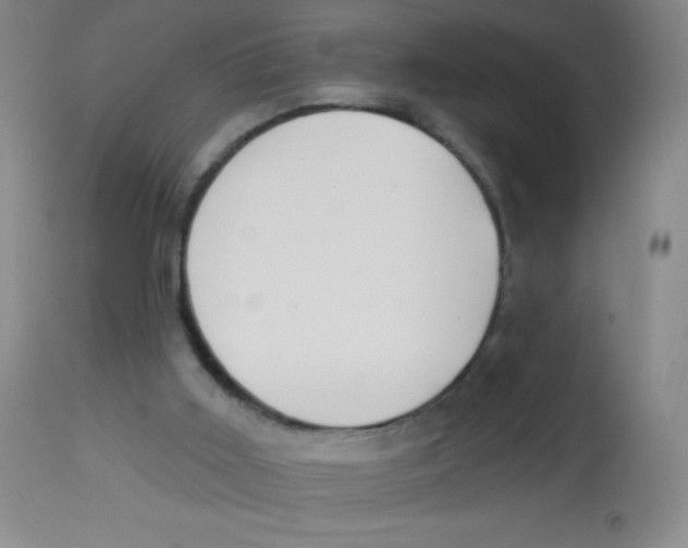 X0000113960011200910232039