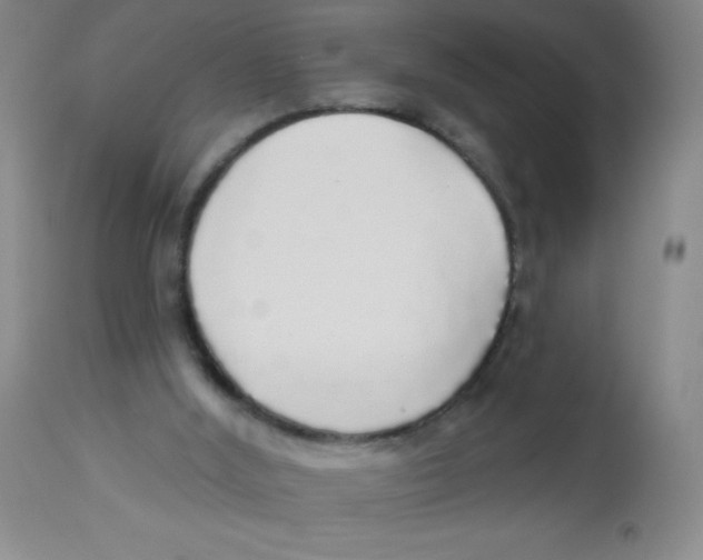 X0000113960012200910232039
