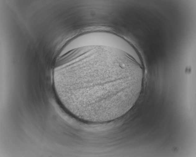 X0000113960013200910232039